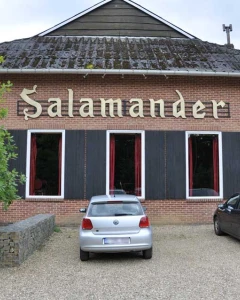 Foto van Salamander